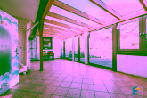 EG