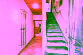 EG